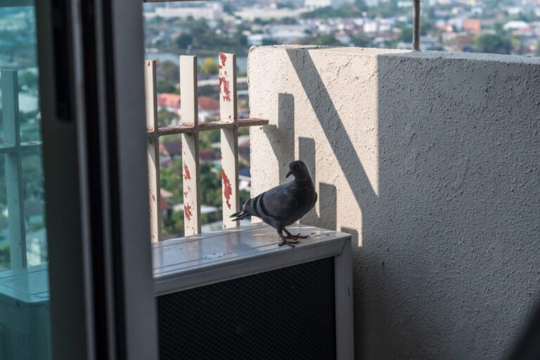 Climatiseur installé sur le balcon d’un appartement, avec son unité extérieure visible près de la rambarde.