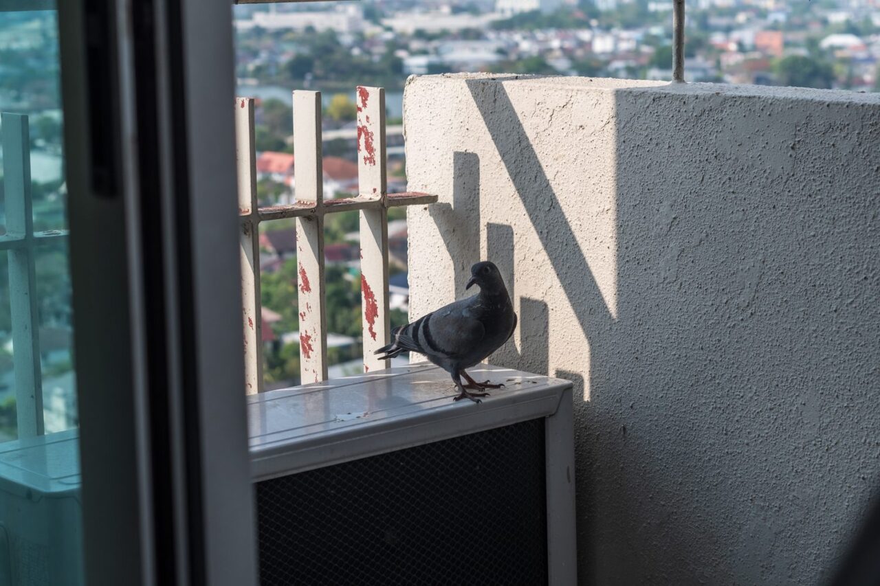 Climatiseur installé sur le balcon d’un appartement, avec son unité extérieure visible près de la rambarde.