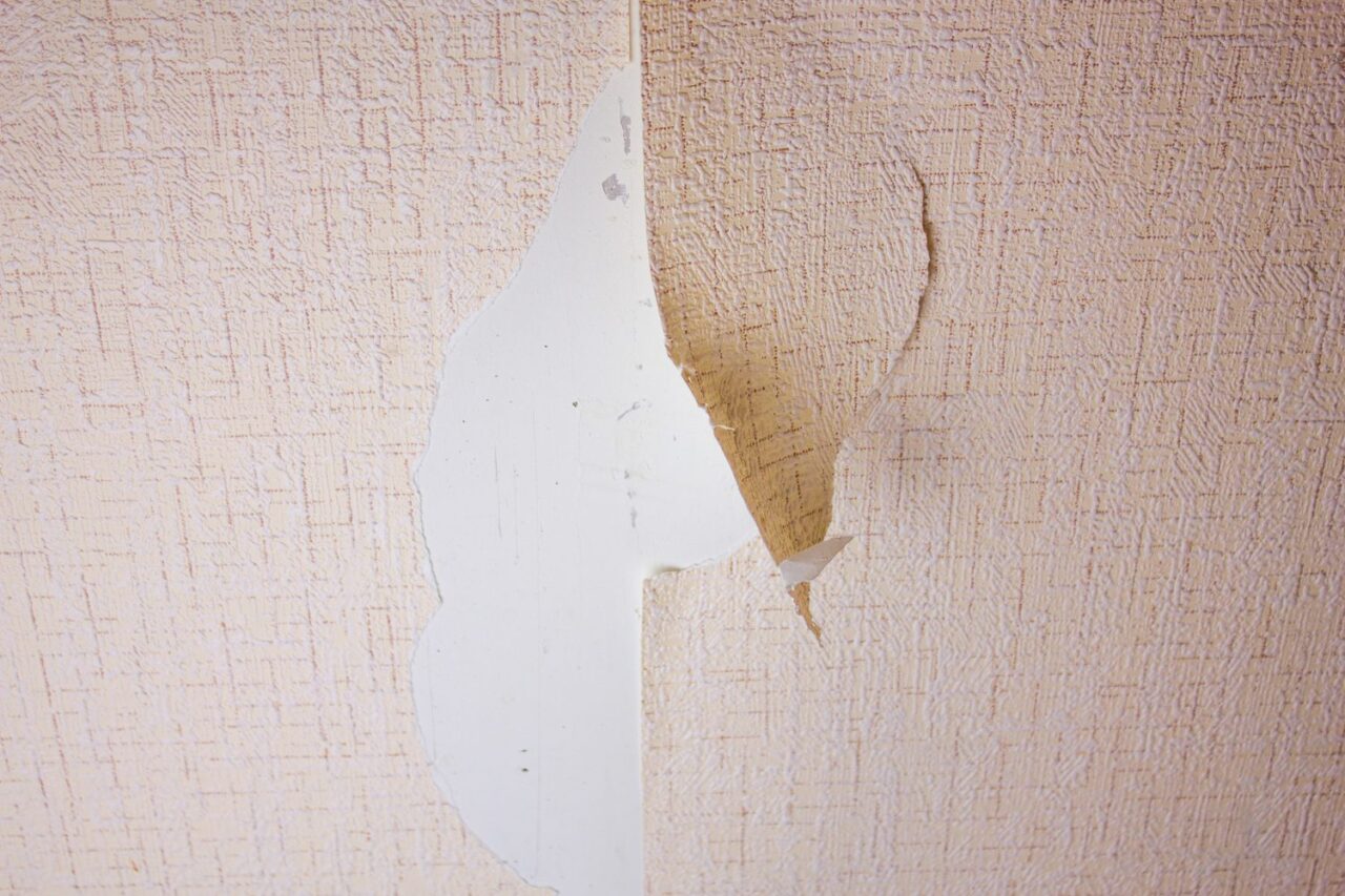 Fissures visibles sur un mur après le retrait du papier peint, avant la mise en peinture.
