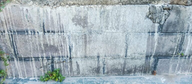 Eau stagnante sur une terrasse en béton au pied d’une façade de maison.